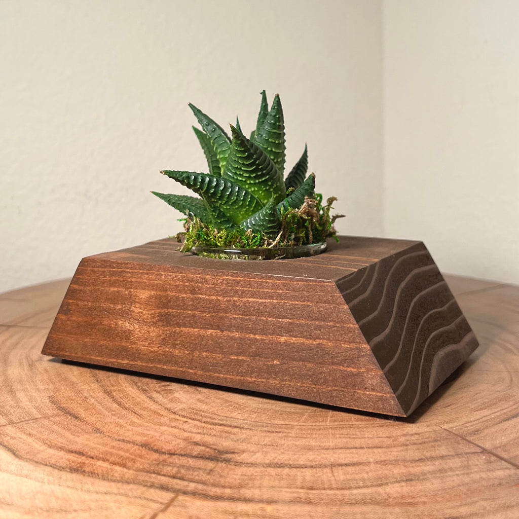 Trapezoid Block blissblocks